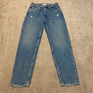 {We The Free | Free People} High Rise Ankle Length Jeans | Button Fly ~ Size 26